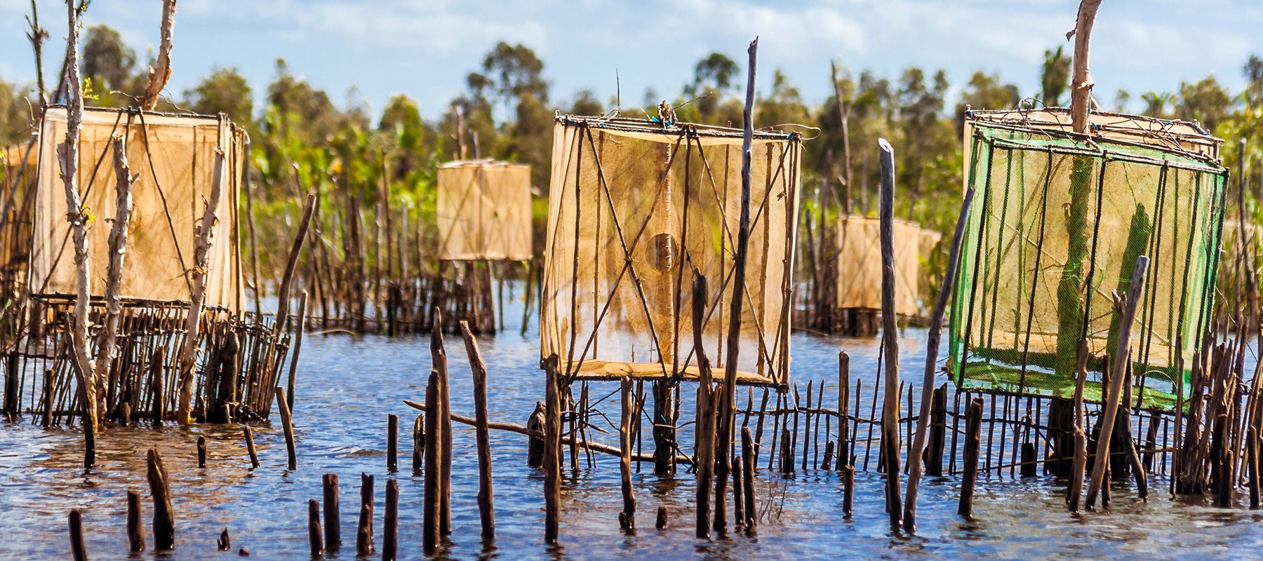 Aquaculture in practice