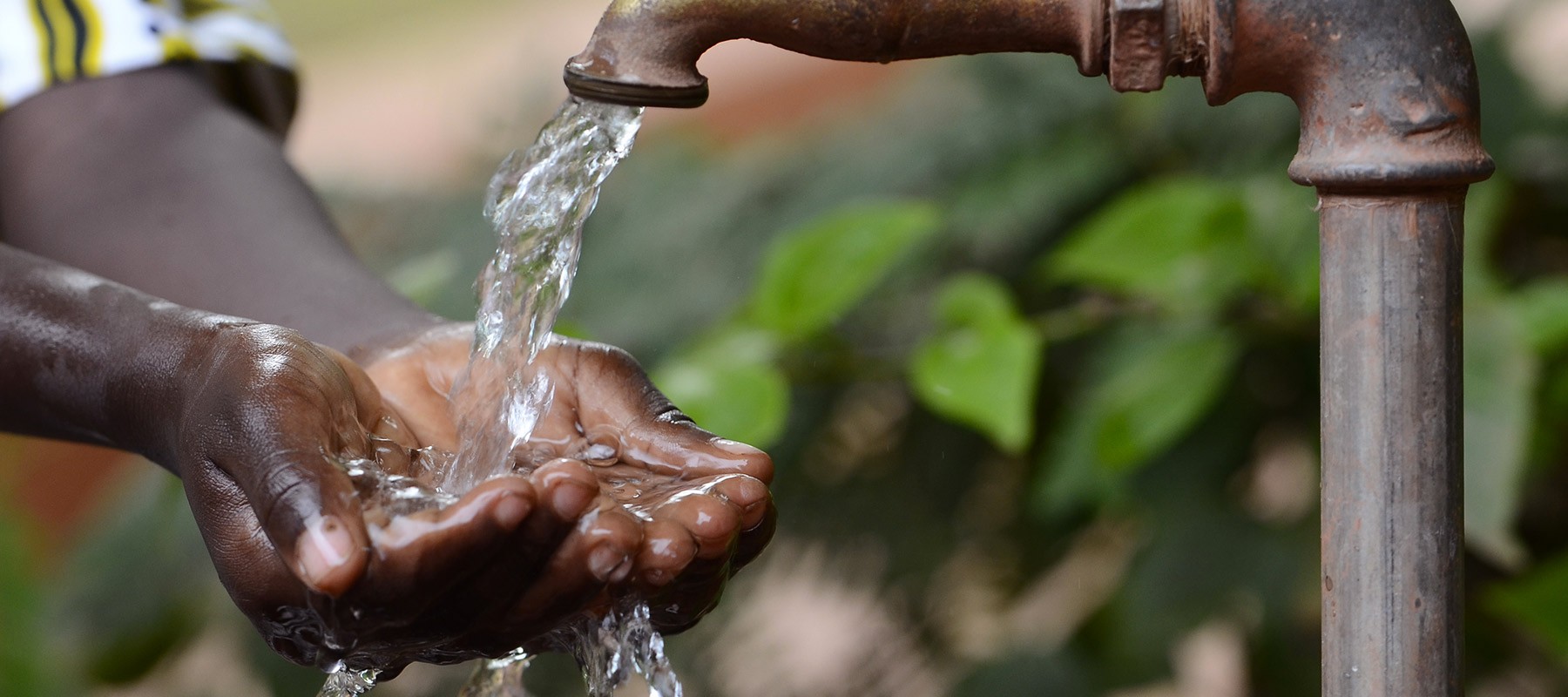 Hands being washed from a tap