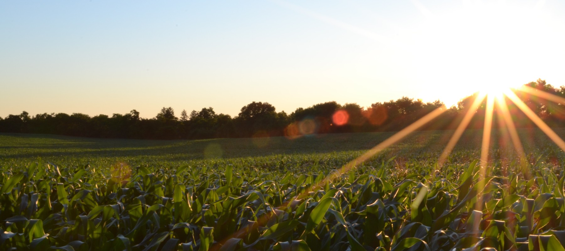 Agriculture