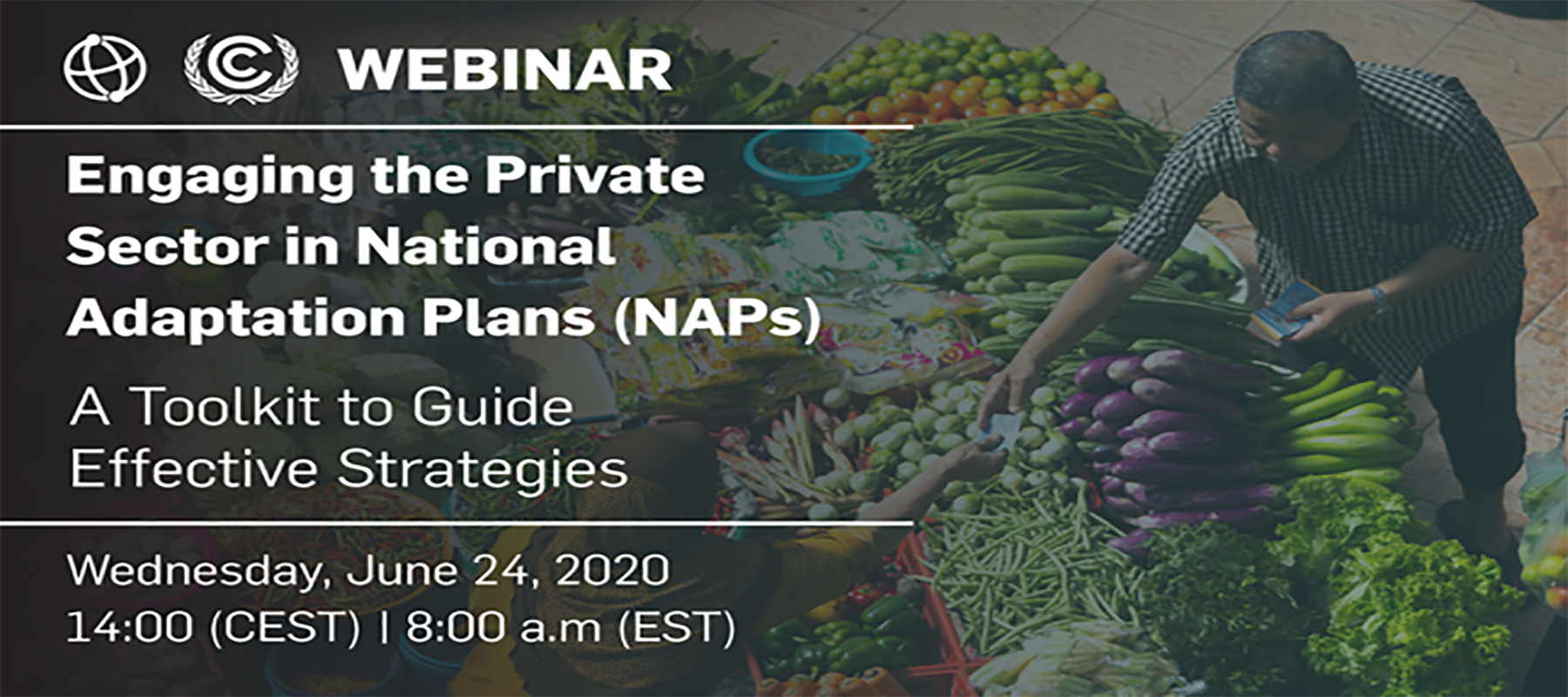 NAP Webinar