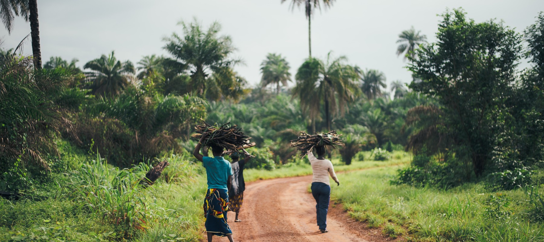 Webinar: Celebrating Womens' Emancipation through Green Economy