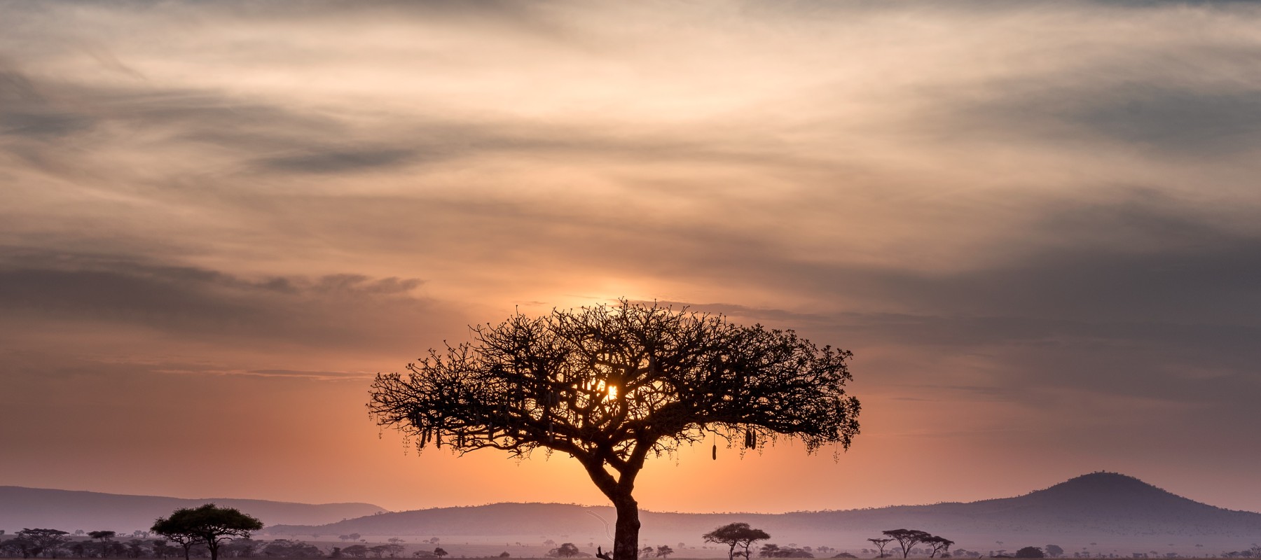 Webinar: Launch of the Research and Innovation Partnership Between the African Water Association and the Water Research Commission of South Africa