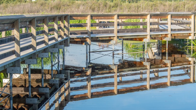 Wetlands boardwalk