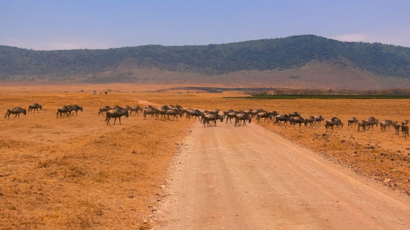 Africa dusty road