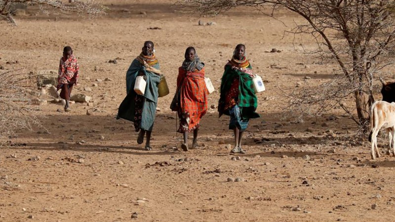 Four cattle herders and cattle in Africa