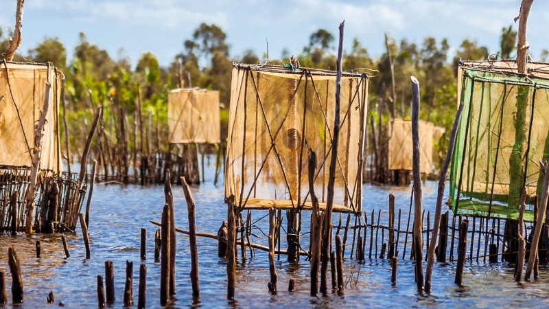 Aquaculture in practice