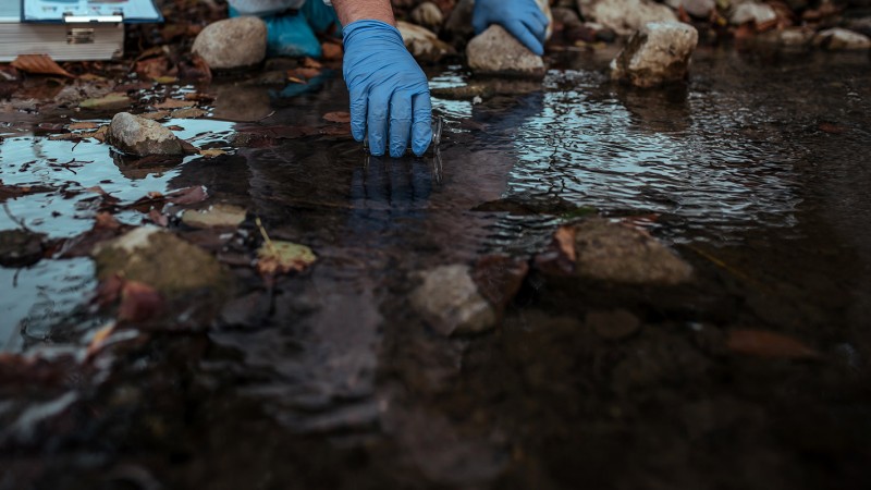 Water quality testing in a river bed