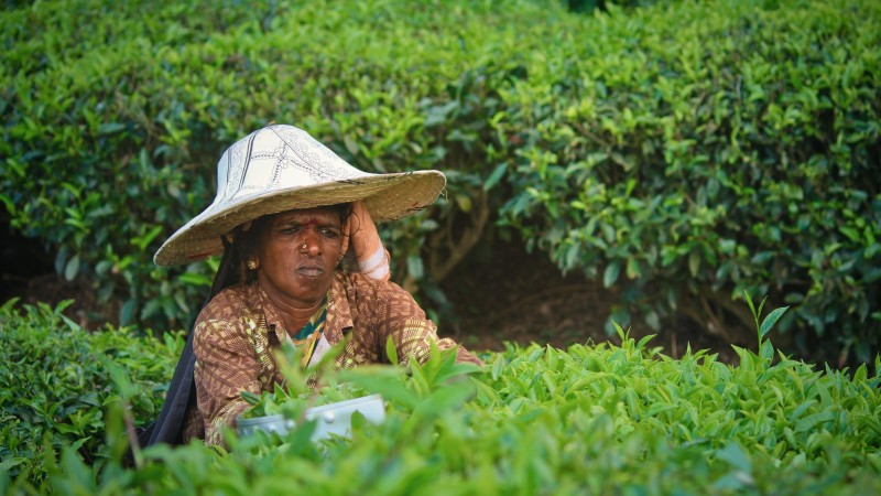 Webinar: Enabling Voices, Demanding Rights: A guide to gender-sensitive community engagement in large scale land-based investment