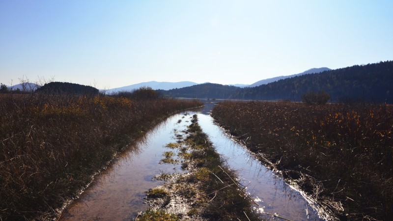 Webinar: Peatland mapping and monitoring