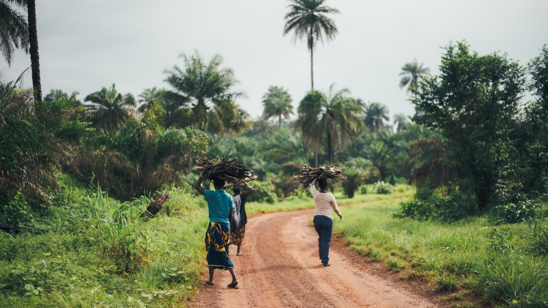 Webinar: Progress made in advancing gender-responsive NAP processes