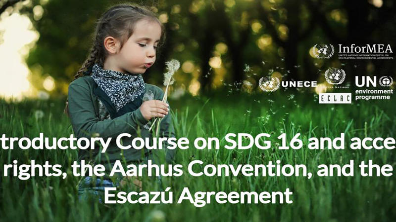 SDG16 Course