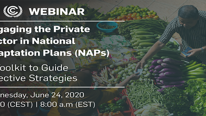 NAP Webinar