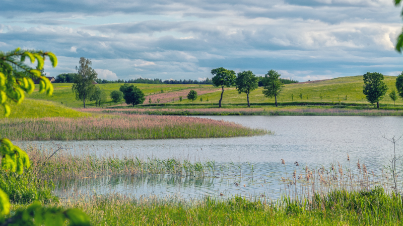 Call for Papers: Special Issue "Management of Water-Energy-Food Security Nexus"