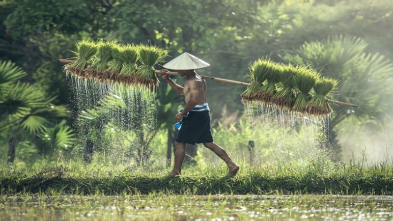 Webinar: Enhancing Water Governance Capacity For The Implementation Of SDG 6