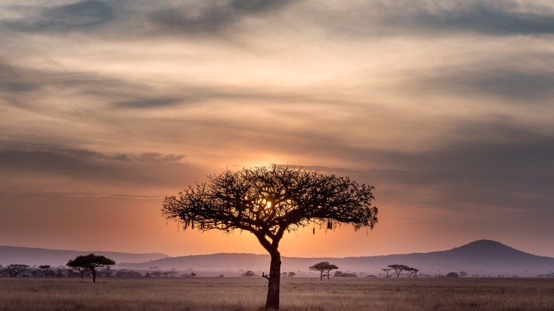 Webinar: Launch of the Research and Innovation Partnership Between the African Water Association and the Water Research Commission of South Africa