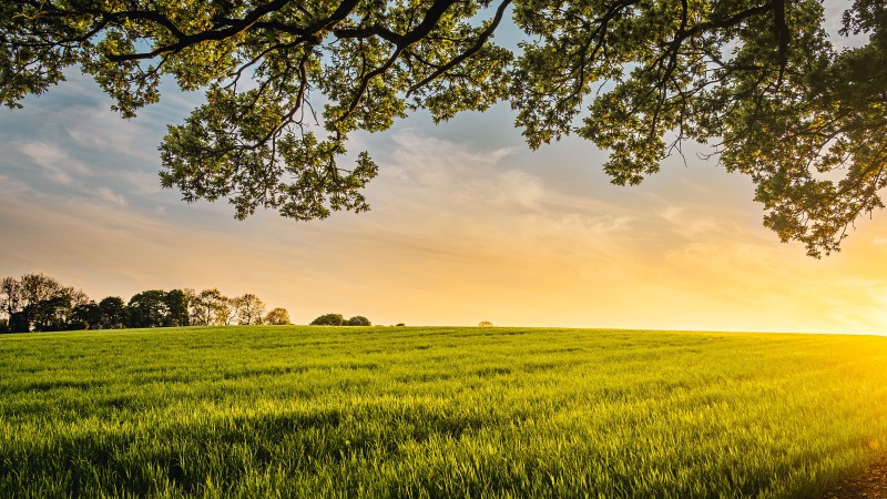 Digital Climate Services for Agriculture