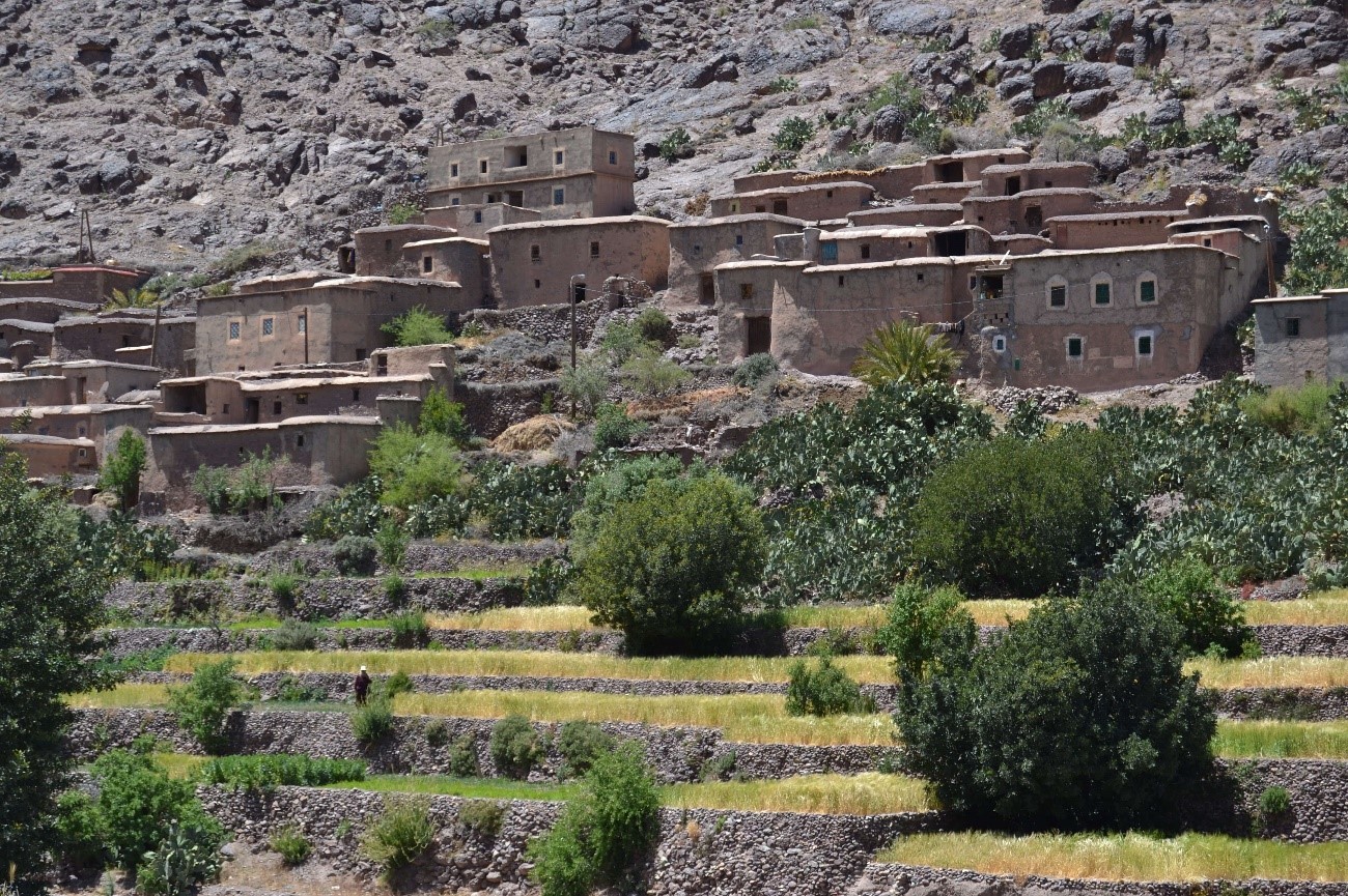 Figure 1. Village of Argan Forest dwellers. Photo credit: Mari Carmen Romera Puig